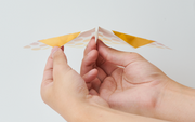 Papillon Origami Airplanes - Series Choice