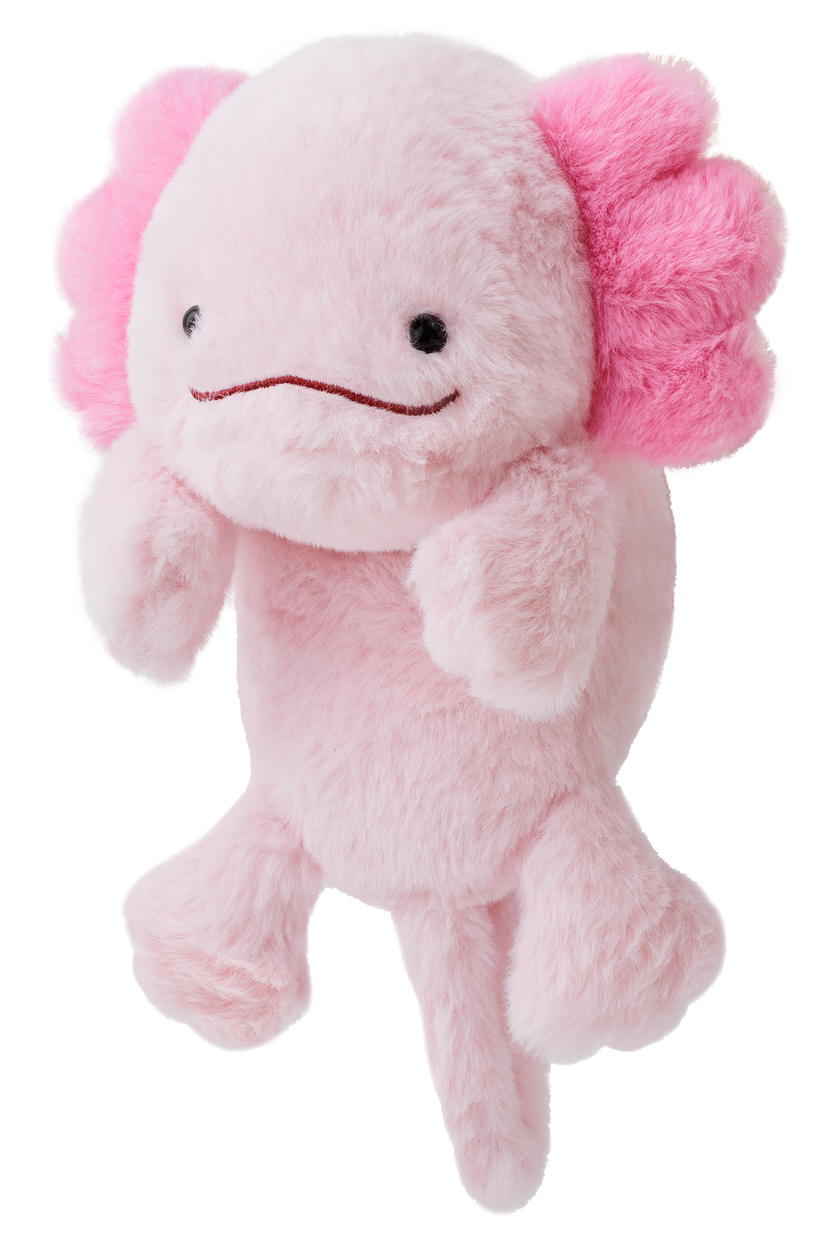 Posture Pal - Happy Display
