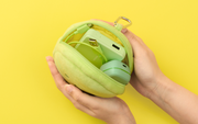 SMISKI Cushion Pouch - Bright Choice