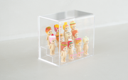 Sonny Angel Acrylic Display Case - Ready Pick