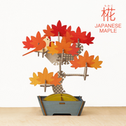 Play Plants Bonsai Puzzles - Little Charm