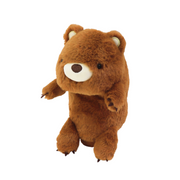 Posture Pal - Happy Display