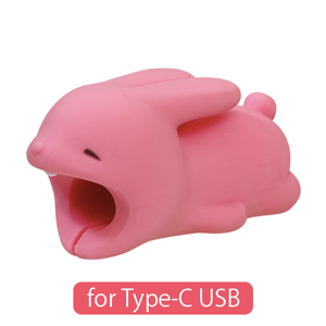 CABLE BITE for Type-C USB - Charm Style